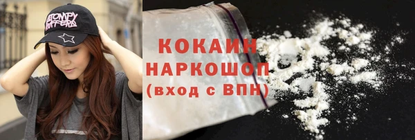 соль ск Белокуриха