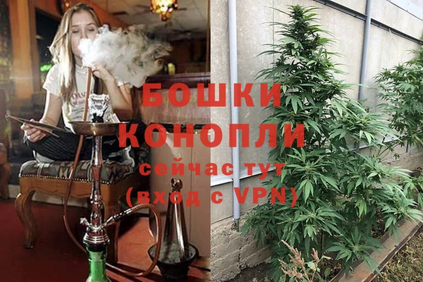 соль ск Белокуриха