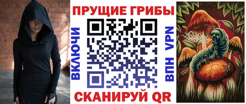 что такое   Сердобск  Псилоцибиновые грибы мицелий 